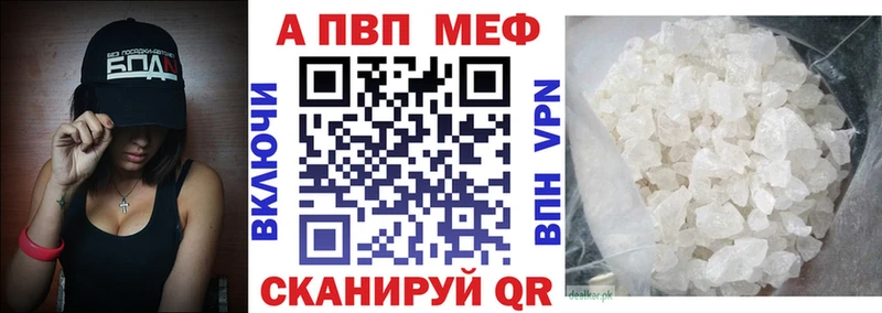 Alfa_PVP СК КРИС Геленджик