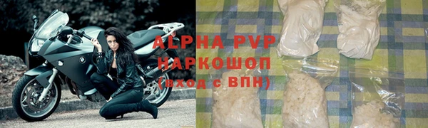индика Алексин