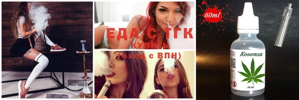 индика Алексин
