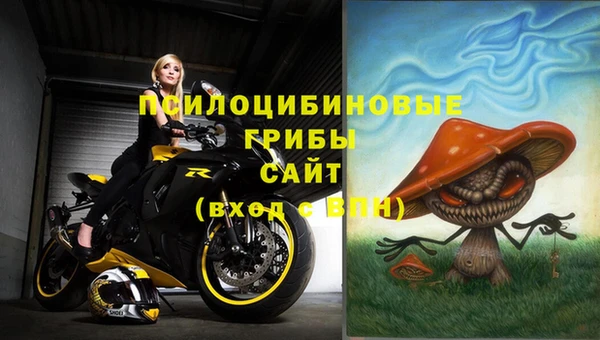 ГАЛЛЮЦИНОГЕННЫЕ ГРИБЫ Алзамай