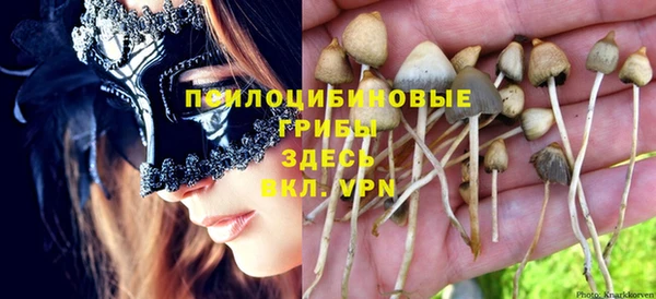 крисы Алексеевка