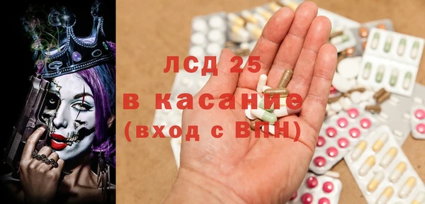 индика Алексин