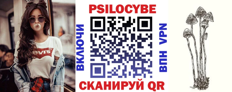 как найти   Геленджик  Псилоцибиновые грибы Psilocybe 
