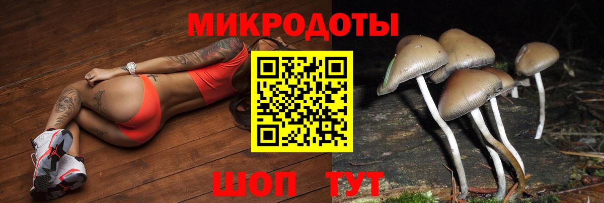 где продают наркотики  Вход с VPN  Геленджик  Псилоцибиновые грибы прущие грибы 