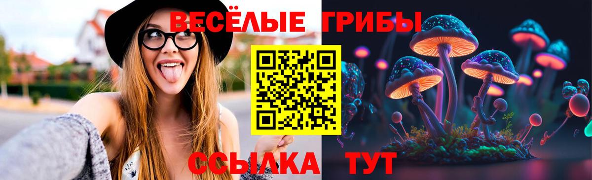 Галлюциногенные грибы мухоморы Геленджик