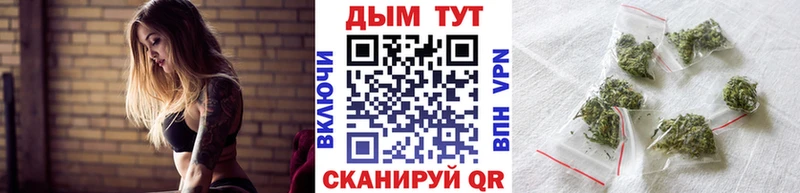 Шишки марихуана планчик Геленджик